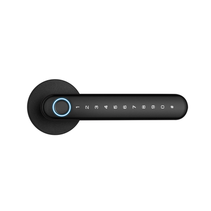 NGTeco A630N Smart Keyless Entry Lever Lock