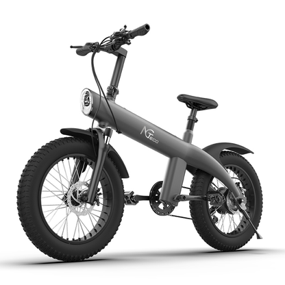 NGTeco Q1 All-Terrain Electric Bike