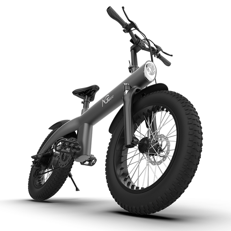 NGTeco Q1 All-Terrain Electric Bike