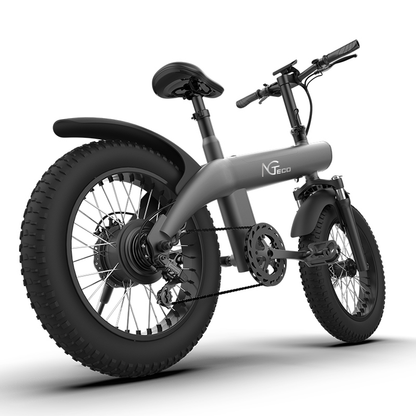 NGTeco Q1 All-Terrain Electric Bike