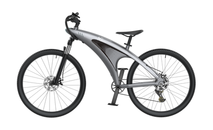 NGTeco Q3 Performance Electric Bike