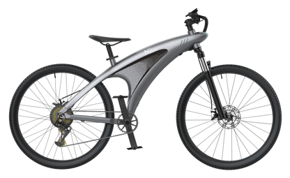 NGTeco Q3 All-Terrain Electric Bike