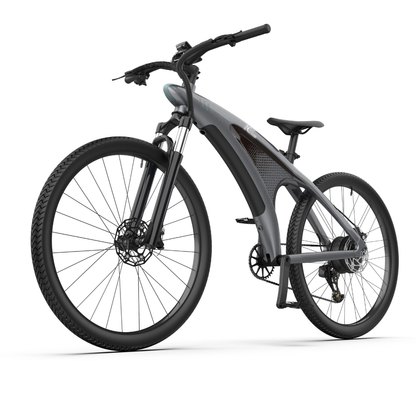 NGTeco Q3 All-Terrain Electric Bike
