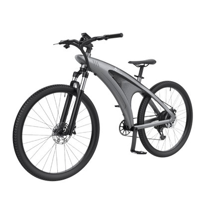 NGTeco Q3 Performance Electric Bike