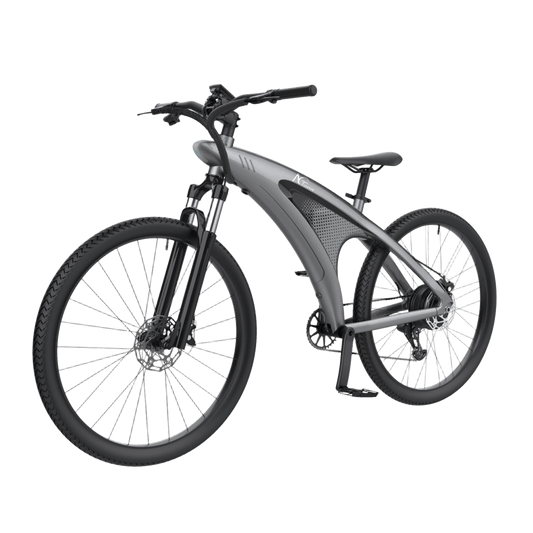 NGTeco Q3 Performance Electric Bike