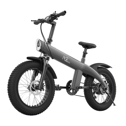 NGTeco Q1 All-Terrain Electric Bike